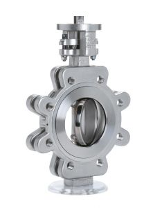 Butterfly valve double offset design HGF