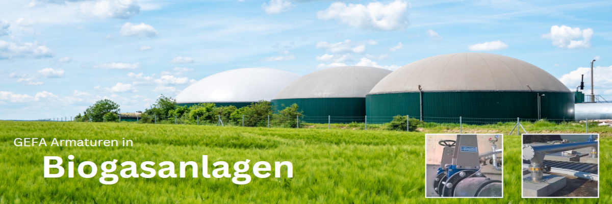 Biogas