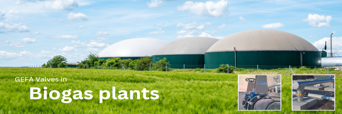 Biogas